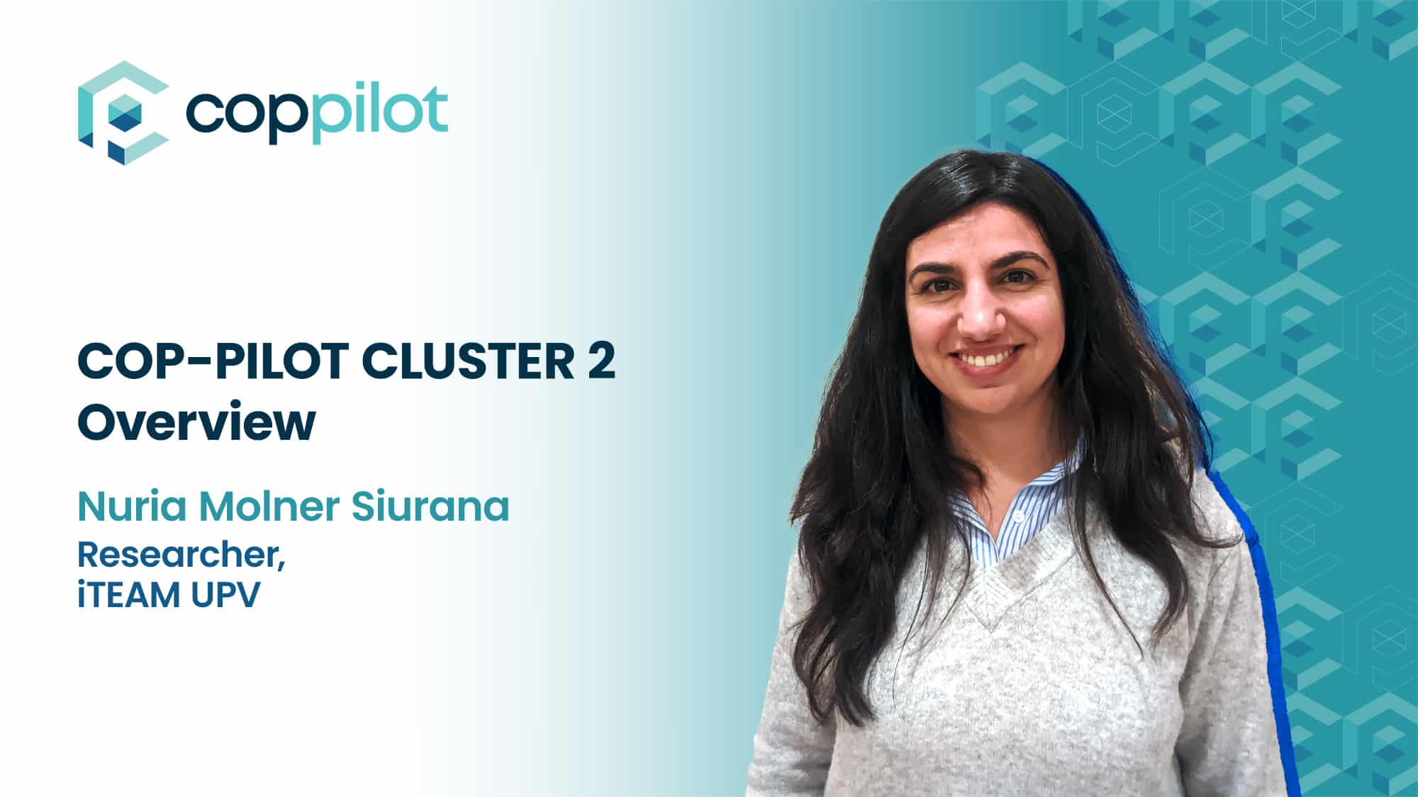 COP-PILOT HORIZON CLUSTER 2 - Overview